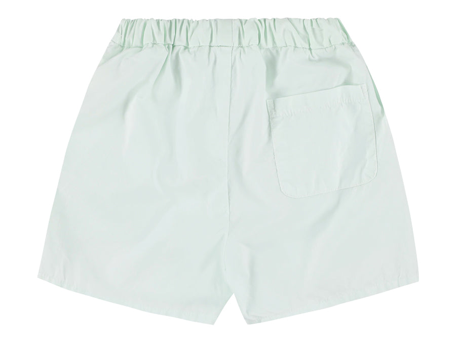 Aqua Shorts - Aqua