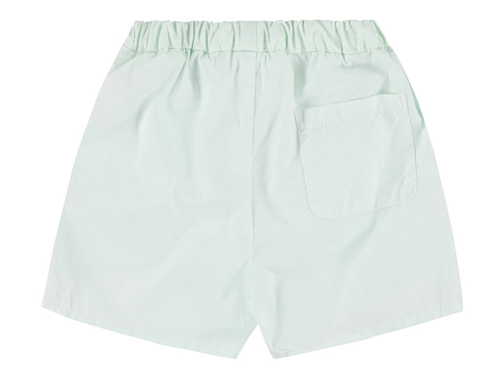 Aqua Shorts - Aqua