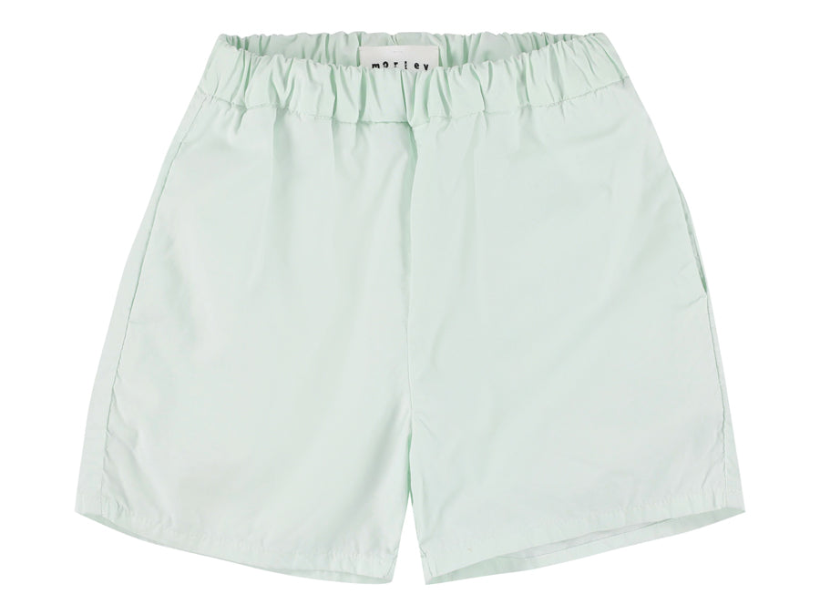 Aqua Shorts - Aqua