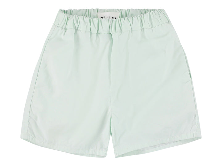 Aqua Shorts - Aqua