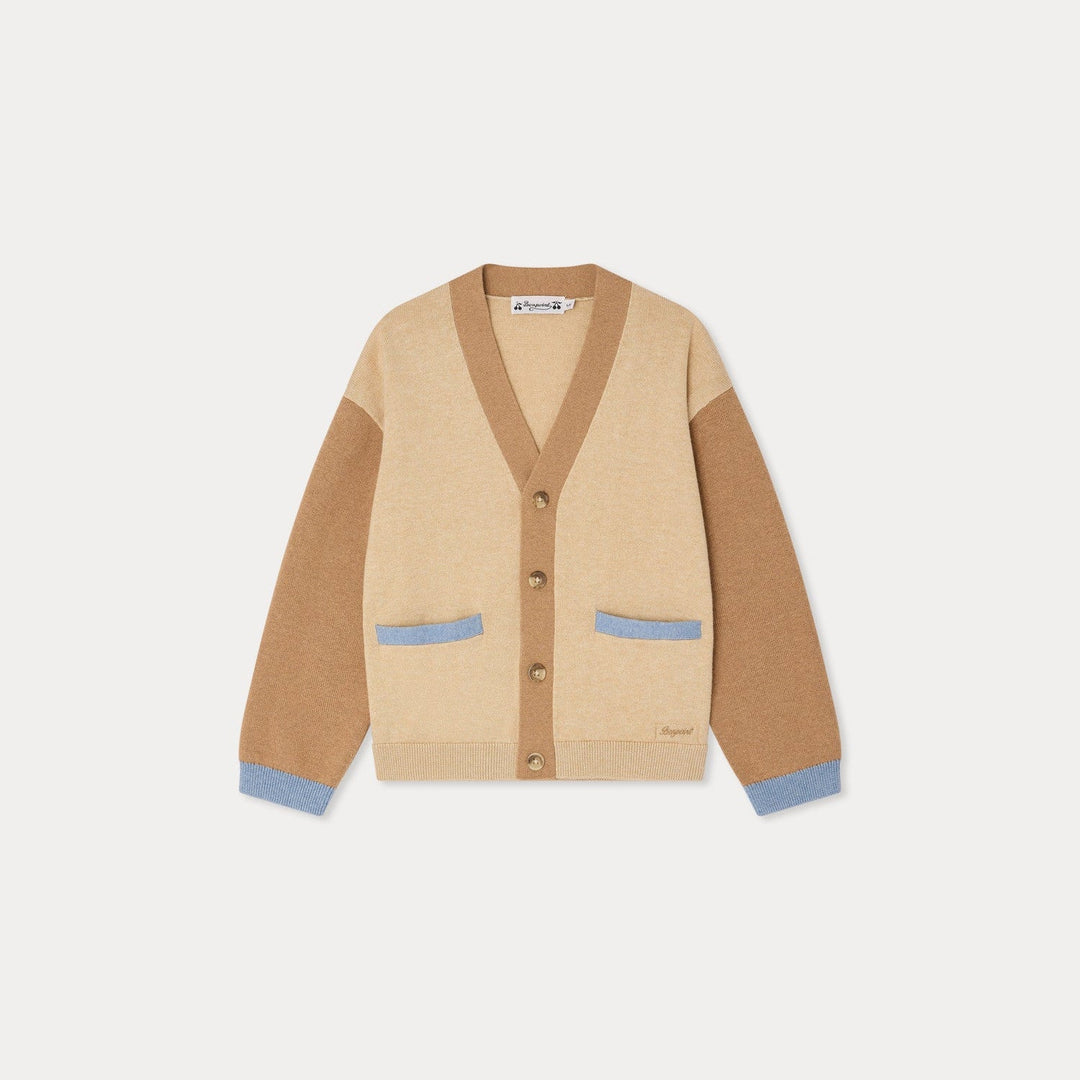 Brown and Blue V - Neck Cardigan - Beige Chine 160B - Posh New York