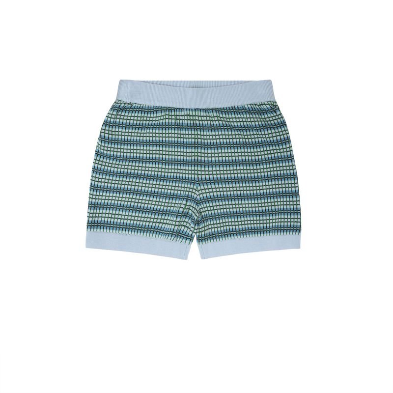 Checked Shorts - Pale Blue/Pine - Posh New York