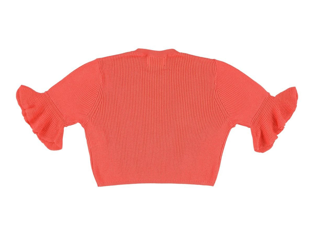 Crop Fit Sweater - Raspberry - Posh New York