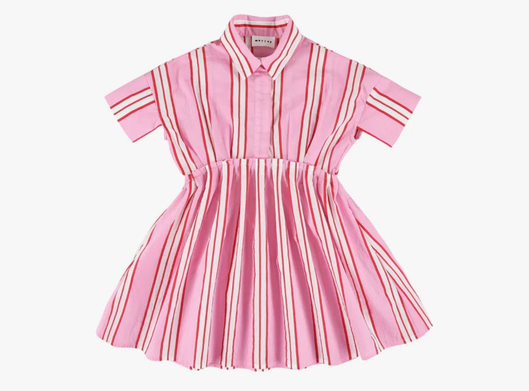 Pink Pinstriped Dress With Collar - Pink - Posh New York