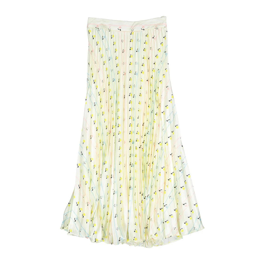 Rainbow Effect Pleated Skirt - Print - Posh New York