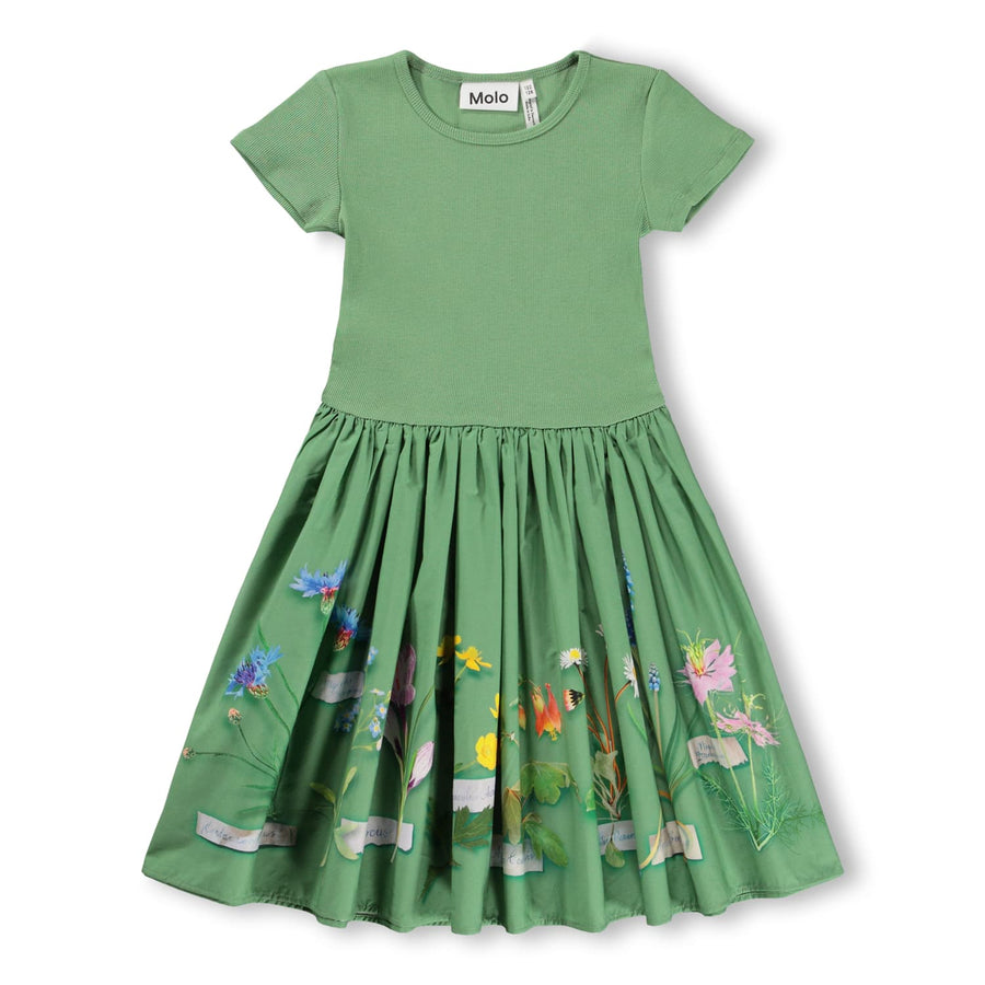 SS Floral Dress - Flora Collector - Posh New York