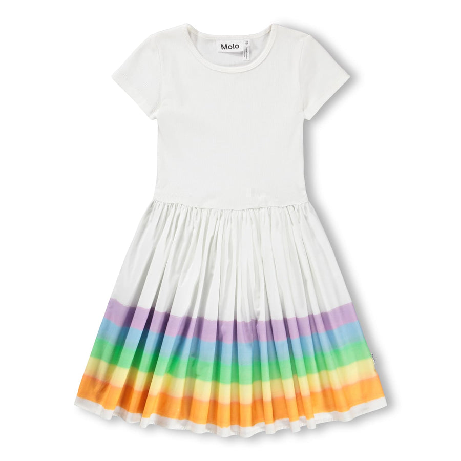 SS Floral Dress - Rainbow - Posh New York