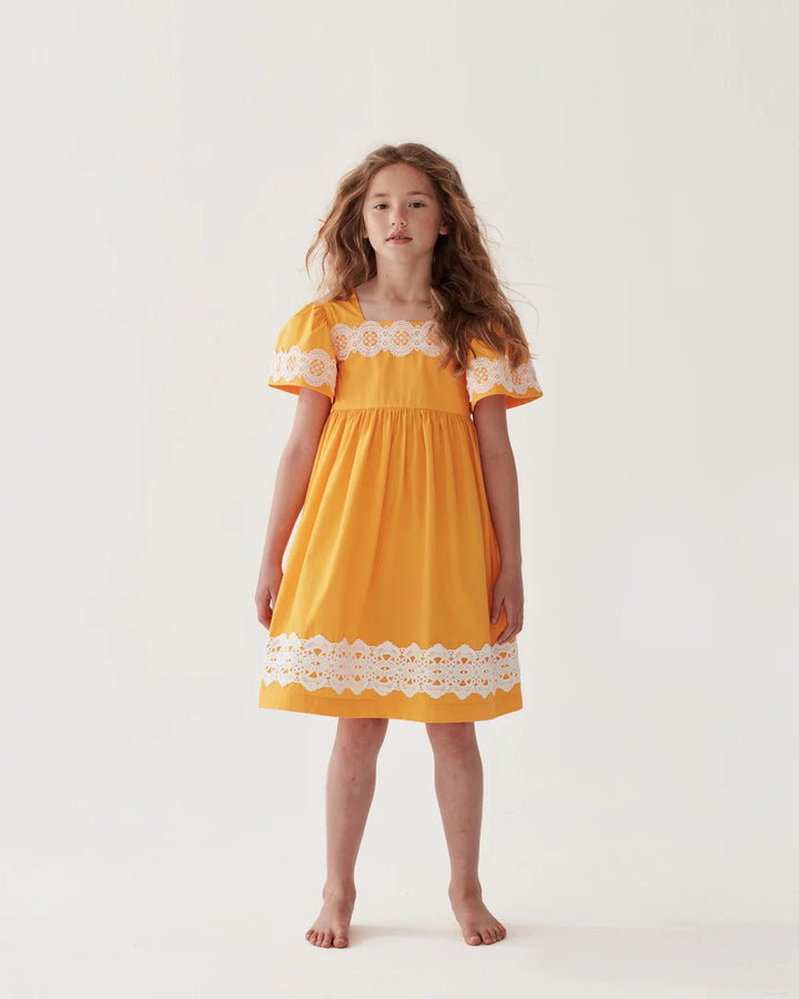 Cotton poplin dress featuring two different contrast lace details - Mango - Posh New York