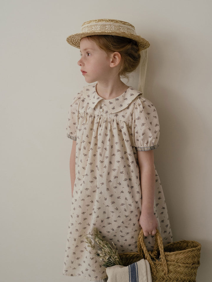 Perbena Dress - Vintage Brick - Posh New York