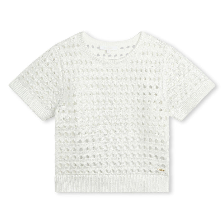 Short Sleeves Sweater Jumper - Lame Silver - Posh New York