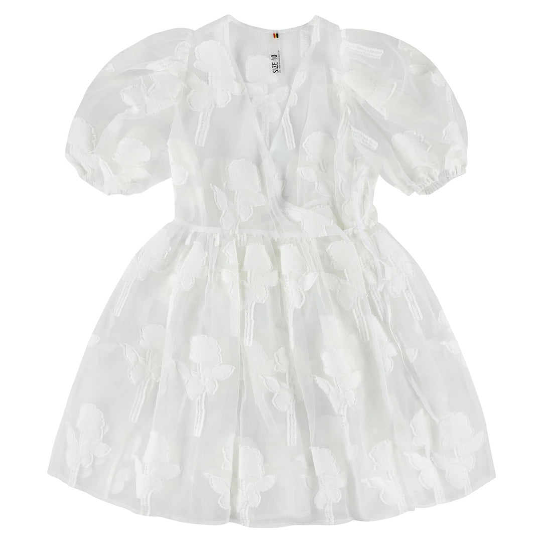 Transparent Rose Dress - White - Posh New York